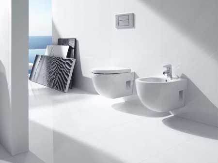 Сиденье для унитаза ROCA Meridian 8012AC004 с микролифтом 