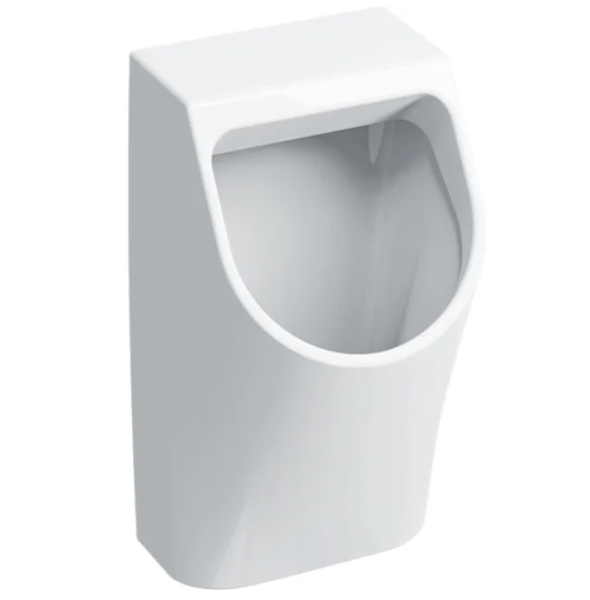 Писсуар Geberit Smyle 58х32.5см., подвесной, скрытый подвод, скрытый отвод, цвет: белый глянцевый 