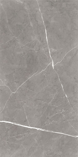 Керамогранит GLOBAL TILE, Энканто / Encanto, серый, 1200х600, GT120603001SPR