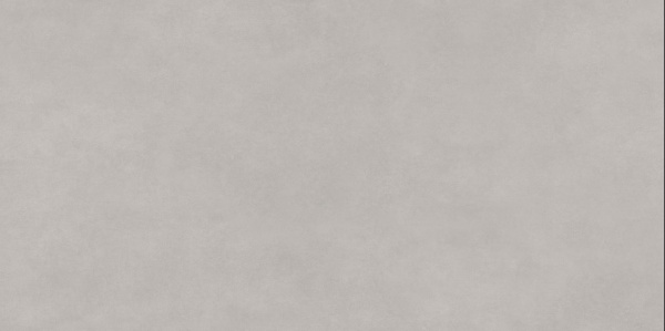 Керамогранит Delacora, Life Cement Gray, 600x1200, матовый, D120237M