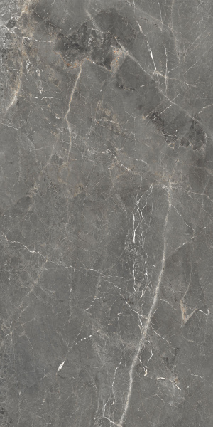 Керамогранит GLOBAL TILE, Тюльпан / Tulip, темно-серый, 1200х600, GT1206012109SPR